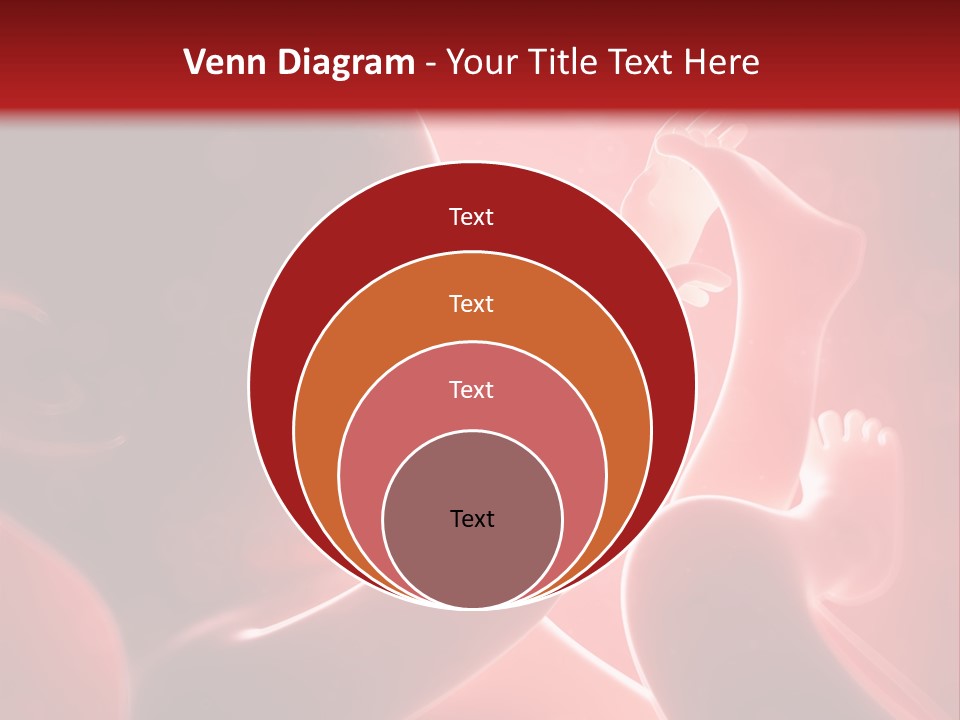 Human Physiology Emryonic PowerPoint Template