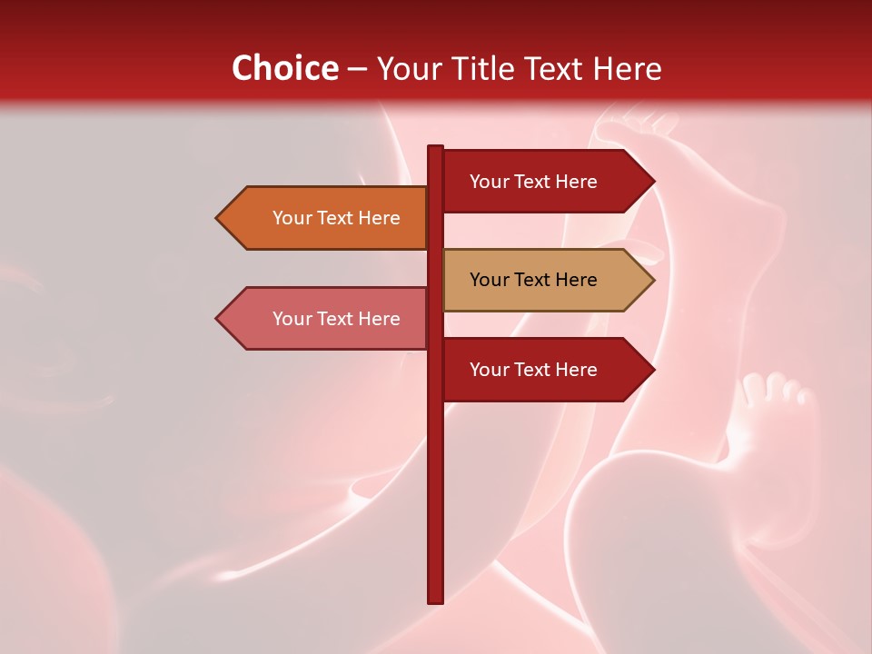 Human Physiology Emryonic PowerPoint Template