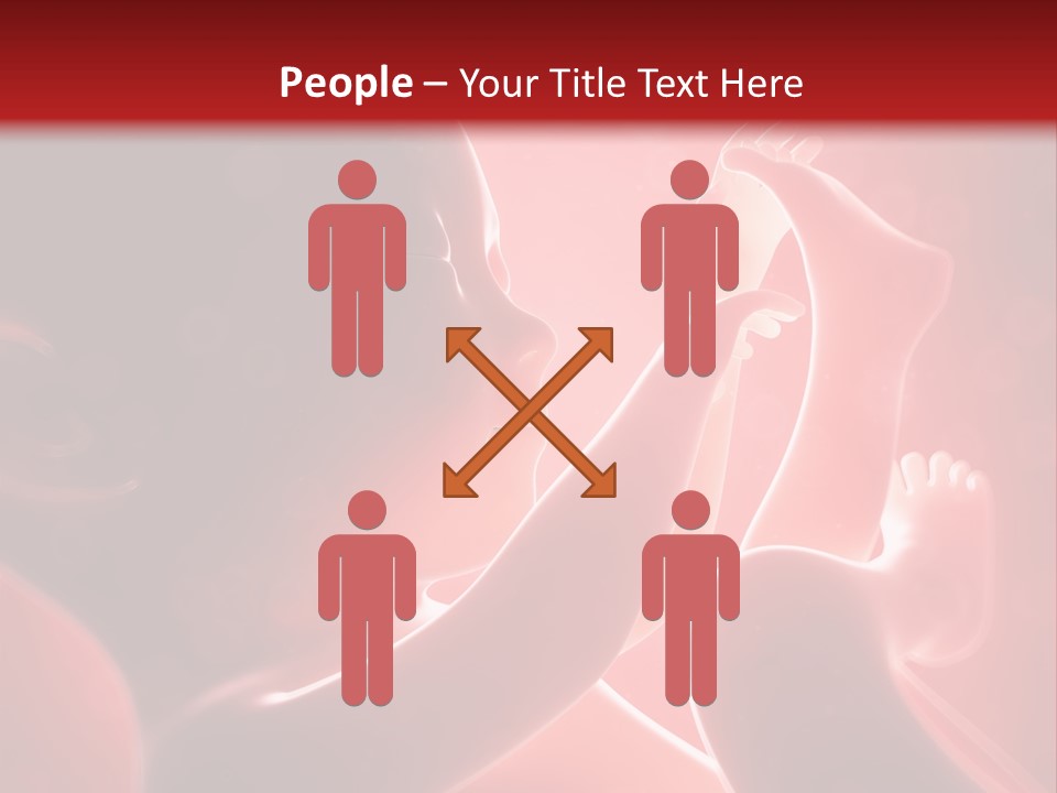 Human Physiology Emryonic PowerPoint Template