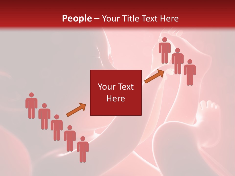 Human Physiology Emryonic PowerPoint Template