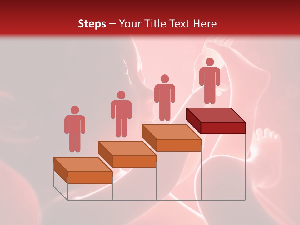 Human Physiology Emryonic PowerPoint Template