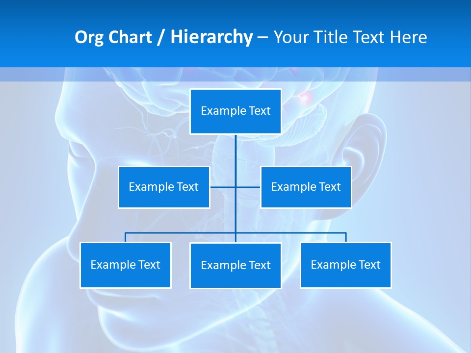 Highlighted Headache Skeletal PowerPoint Template