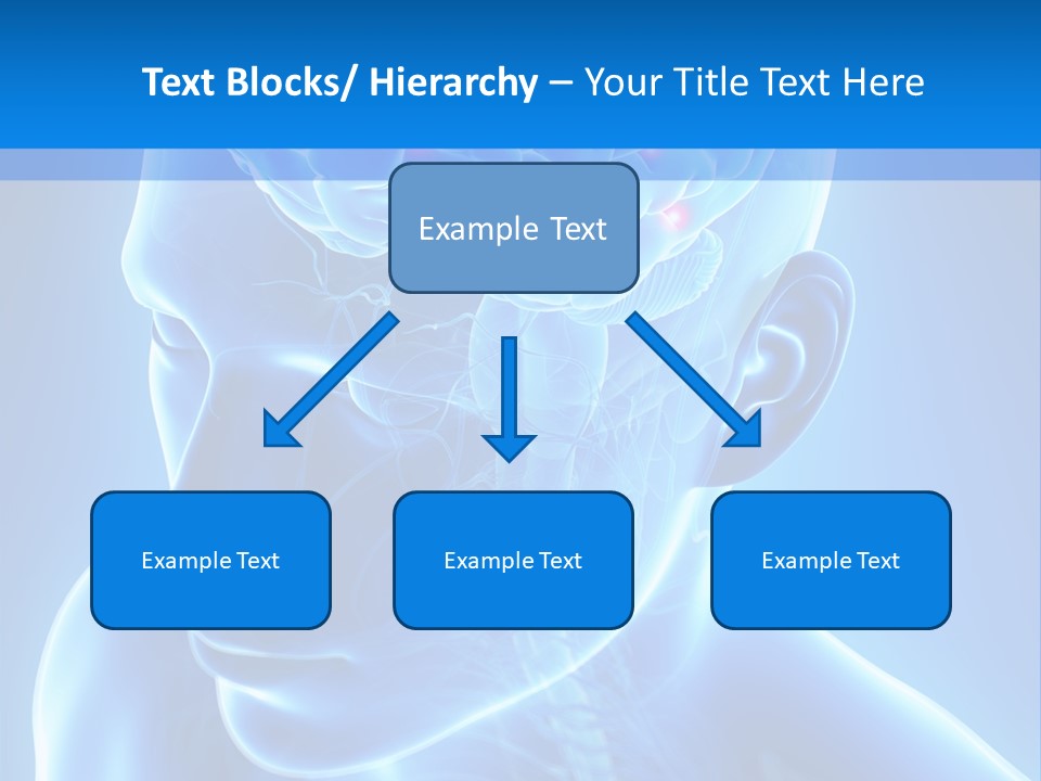 Highlighted Headache Skeletal PowerPoint Template