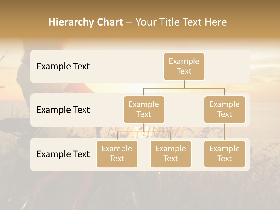 Field Summer Travel PowerPoint Template