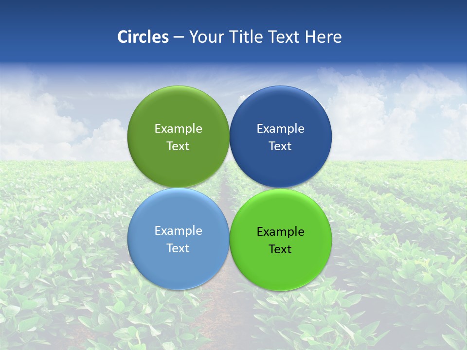 Sky Striped Farm PowerPoint Template