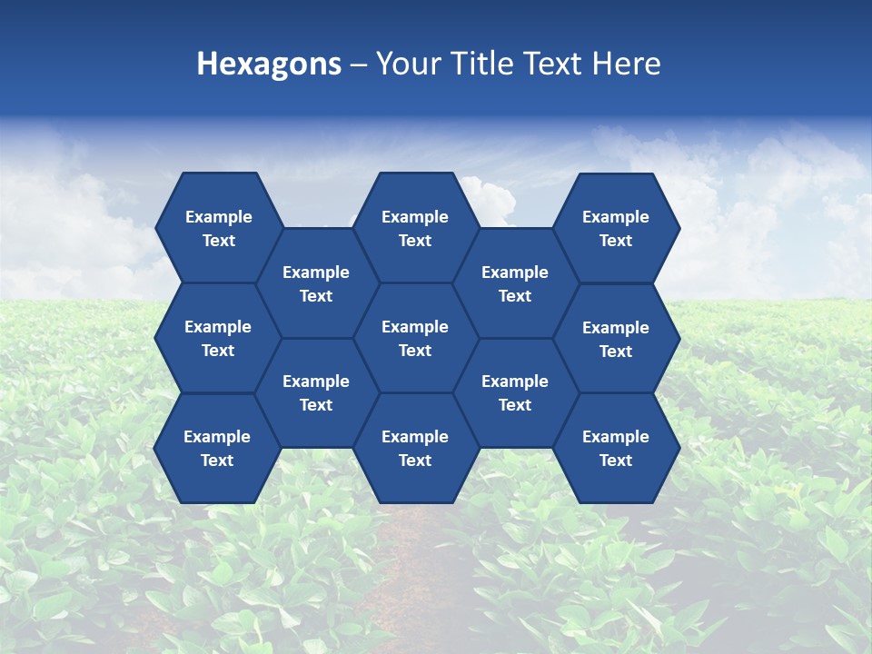 Sky Striped Farm PowerPoint Template