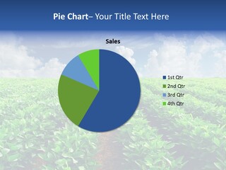 Sky Striped Farm PowerPoint Template