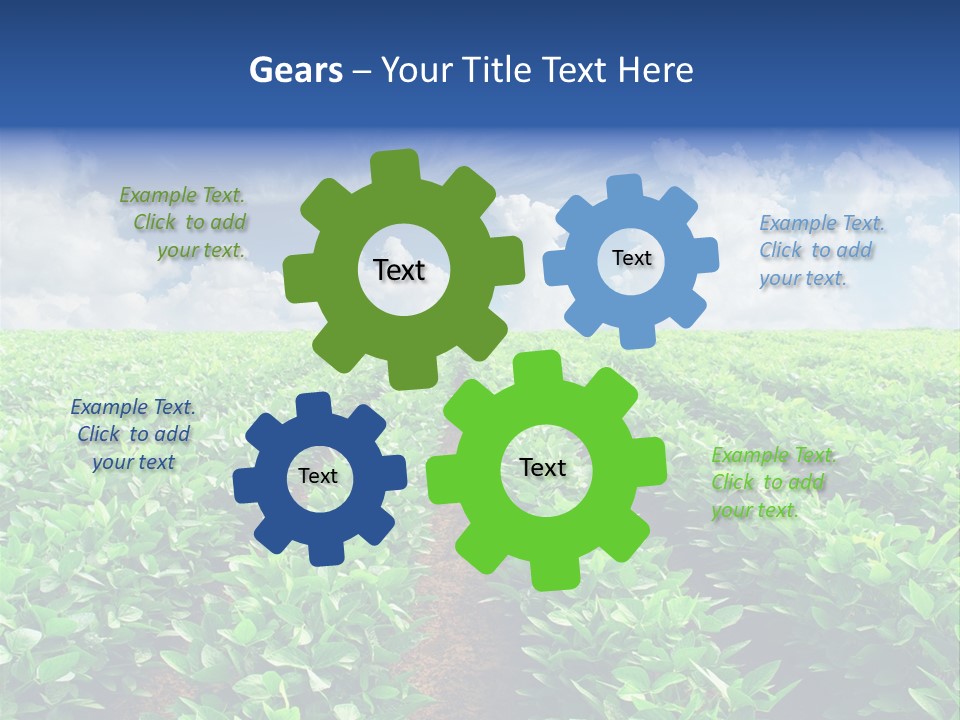 Sky Striped Farm PowerPoint Template