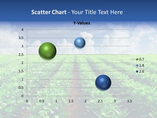 Sky Striped Farm PowerPoint Template