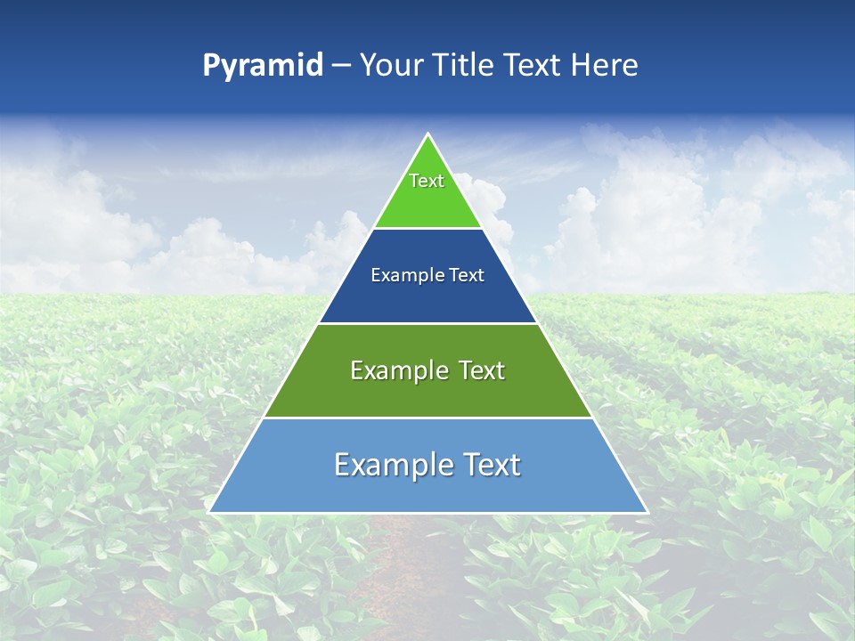 Sky Striped Farm PowerPoint Template