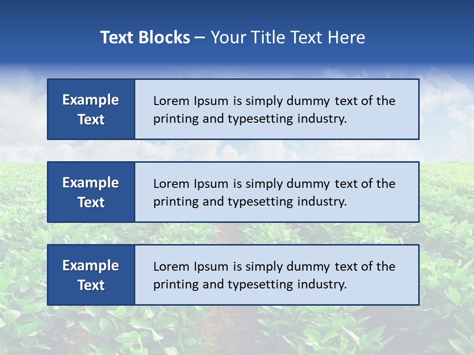 Sky Striped Farm PowerPoint Template