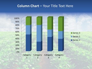 Sky Striped Farm PowerPoint Template