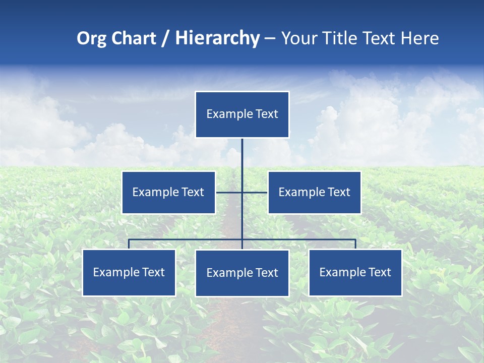 Sky Striped Farm PowerPoint Template