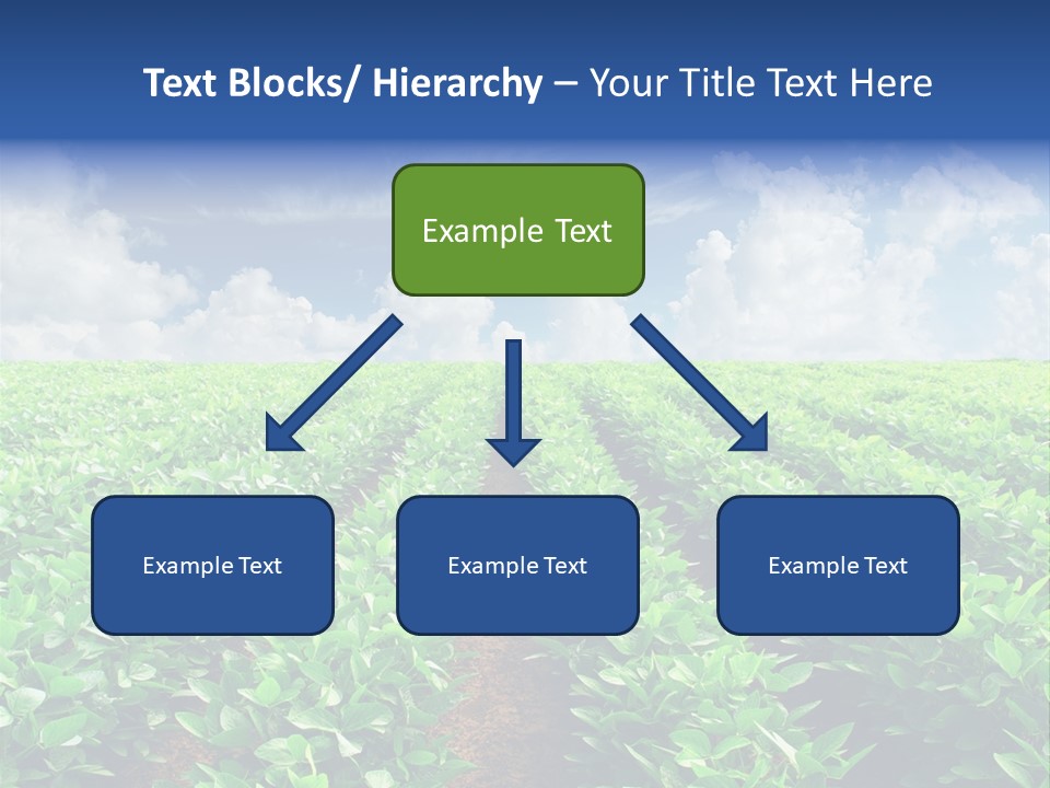 Sky Striped Farm PowerPoint Template