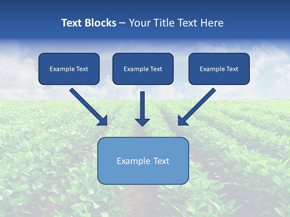 Sky Striped Farm PowerPoint Template