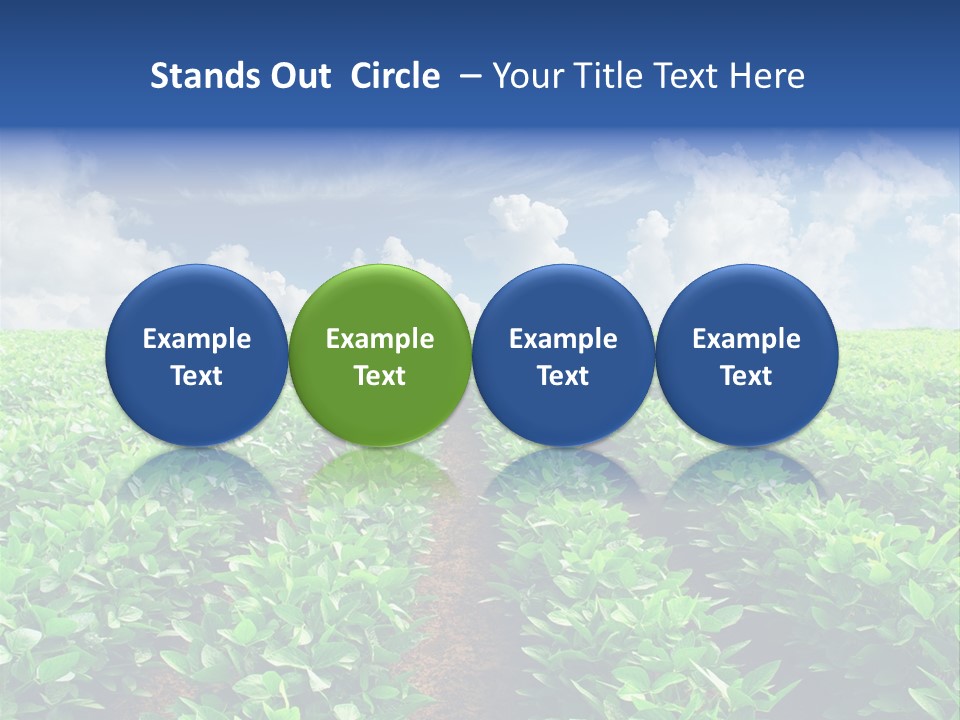 Sky Striped Farm PowerPoint Template