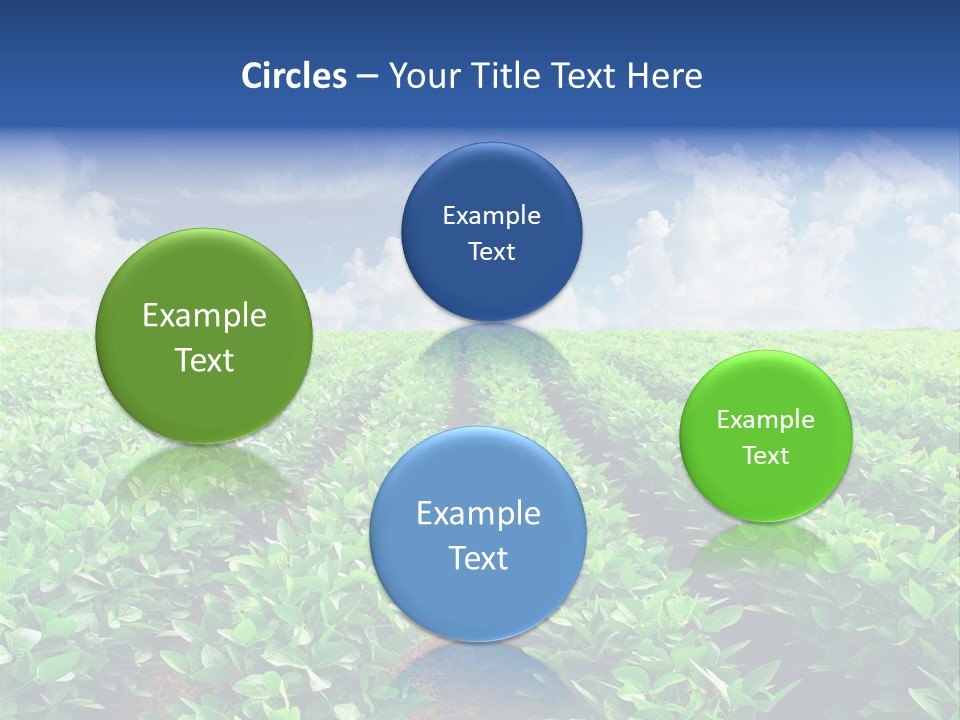 Sky Striped Farm PowerPoint Template