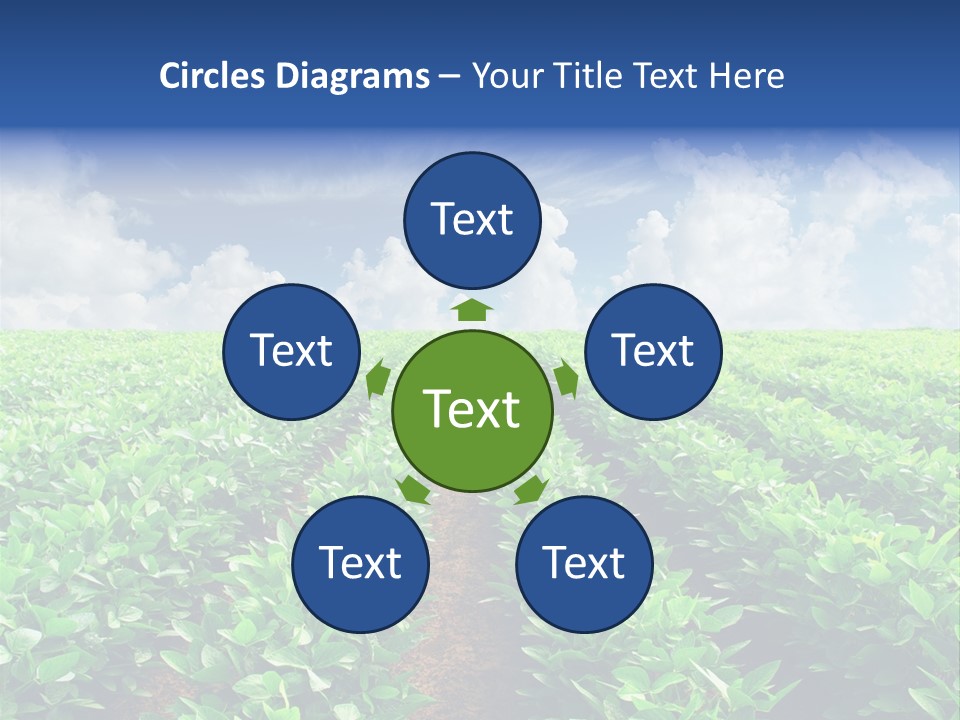 Sky Striped Farm PowerPoint Template