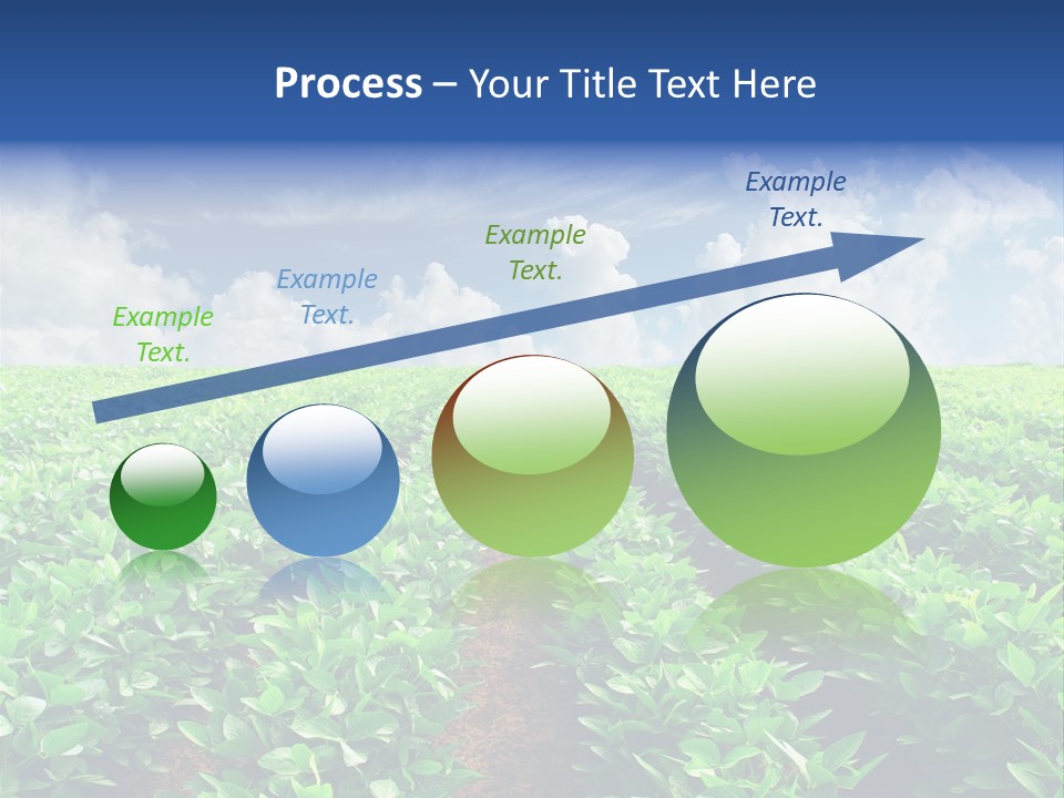 Sky Striped Farm PowerPoint Template