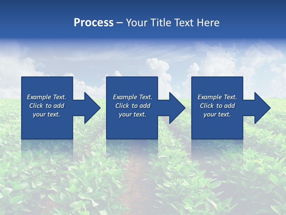 Sky Striped Farm PowerPoint Template