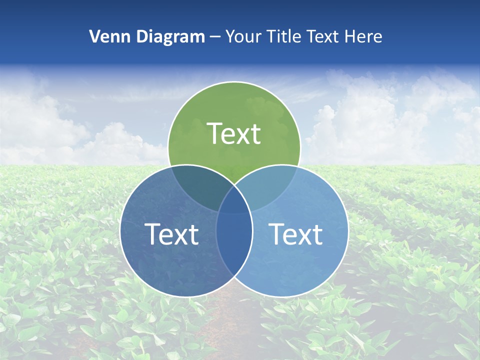 Sky Striped Farm PowerPoint Template