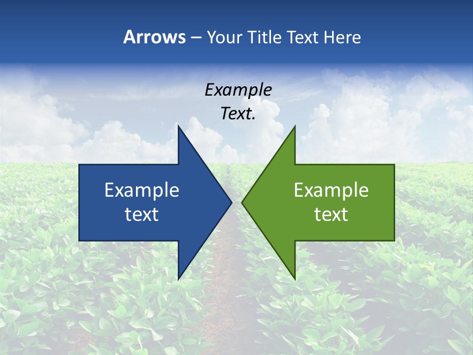 Sky Striped Farm PowerPoint Template