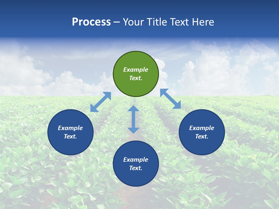 Sky Striped Farm PowerPoint Template