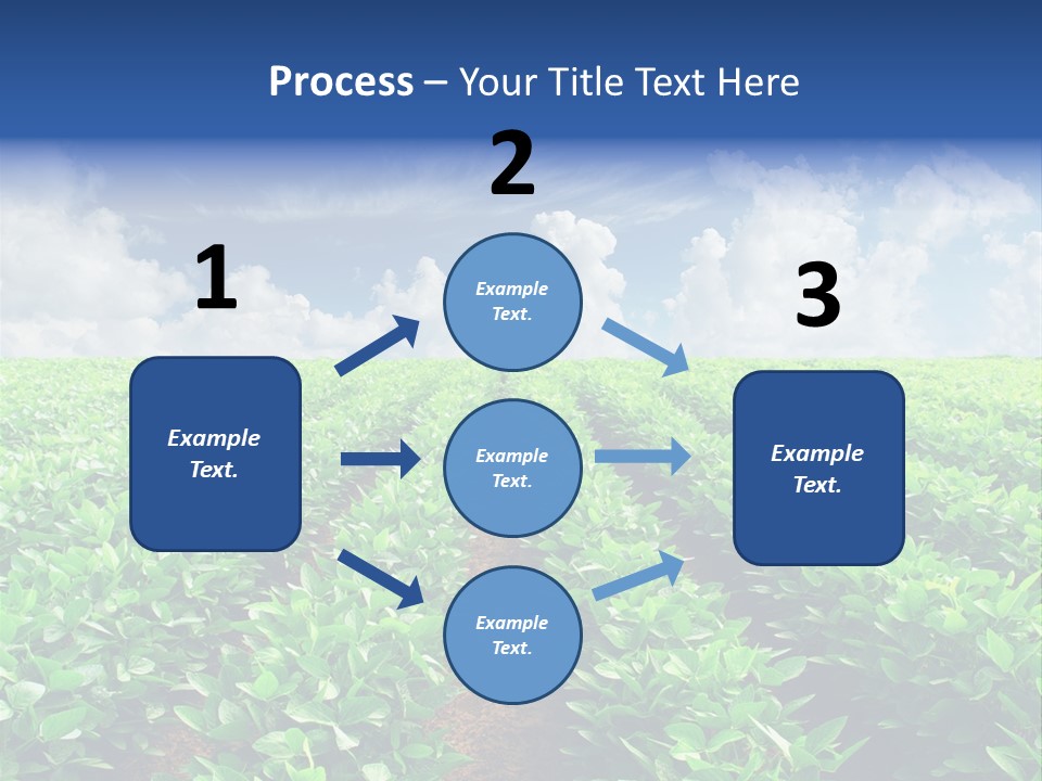 Sky Striped Farm PowerPoint Template