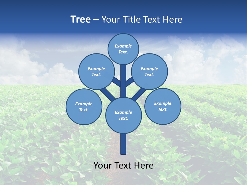 Sky Striped Farm PowerPoint Template