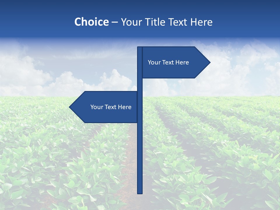 Sky Striped Farm PowerPoint Template