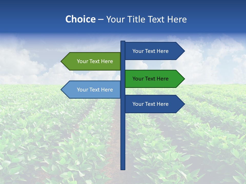 Sky Striped Farm PowerPoint Template