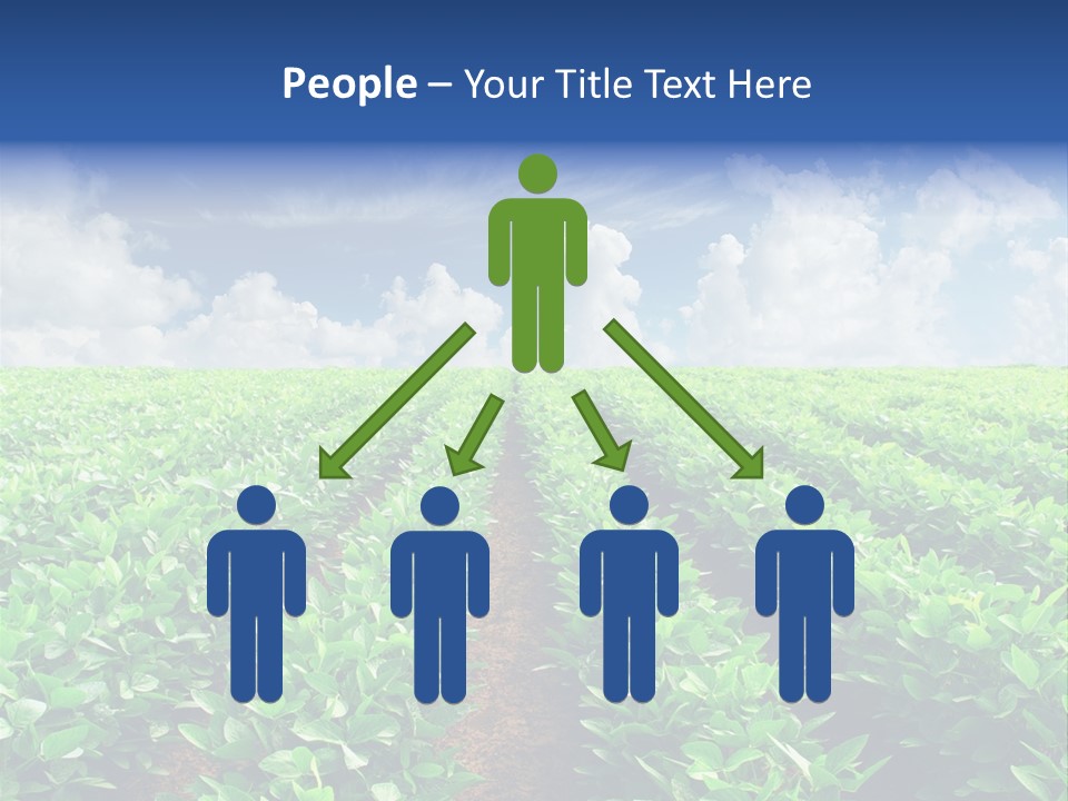 Sky Striped Farm PowerPoint Template