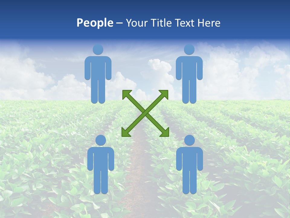 Sky Striped Farm PowerPoint Template