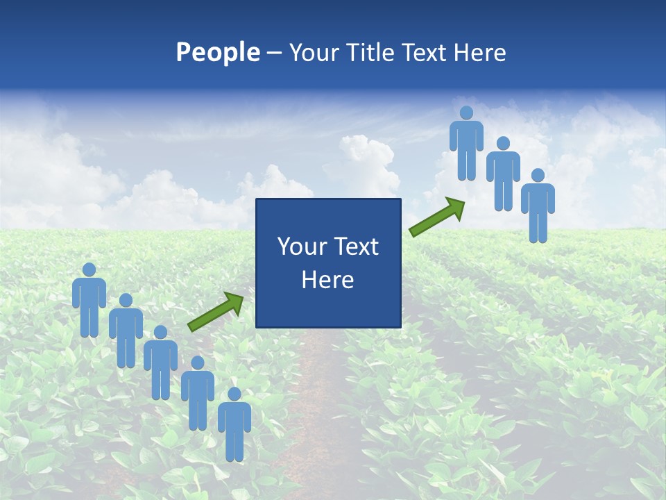 Sky Striped Farm PowerPoint Template