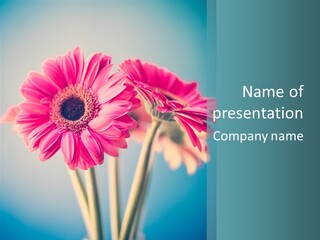 Vintage Ragged Rose PowerPoint Template