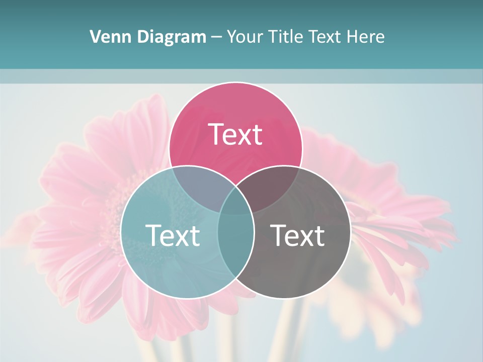 Vintage Ragged Rose PowerPoint Template