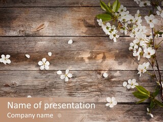 Wood Beauty Orchard PowerPoint Template