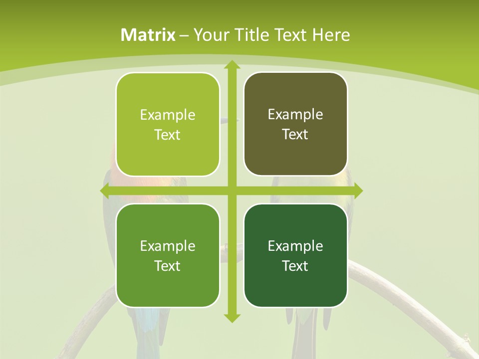 Two Colorful Birds Are Sitting On A Branch PowerPoint Template