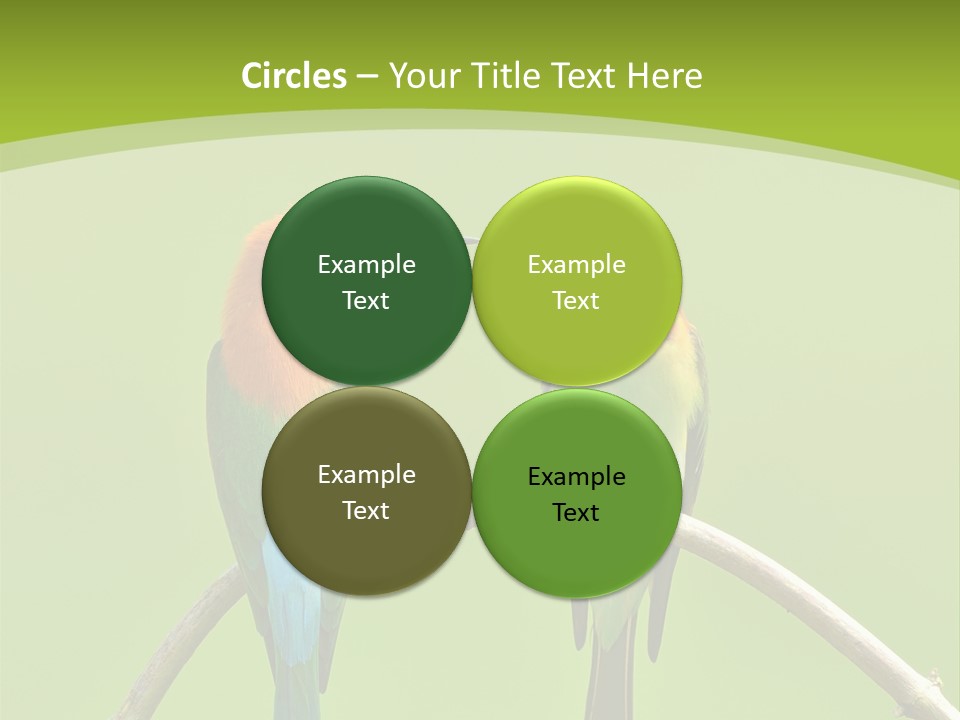 Two Colorful Birds Are Sitting On A Branch PowerPoint Template