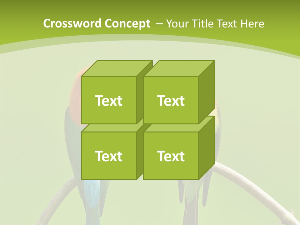 Two Colorful Birds Are Sitting On A Branch PowerPoint Template