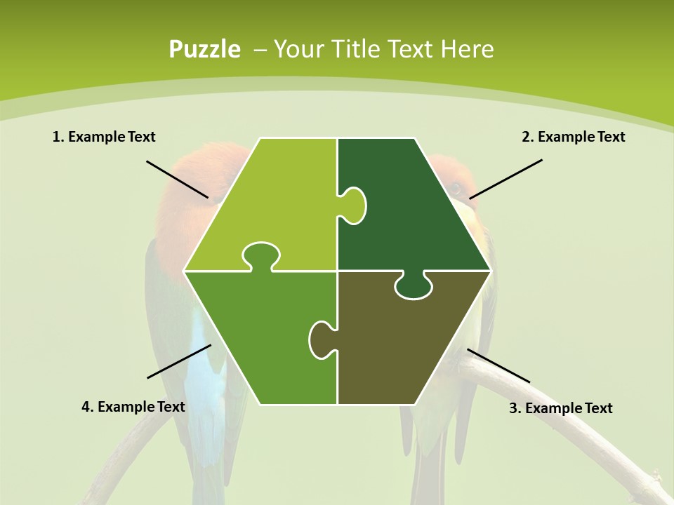 Two Colorful Birds Are Sitting On A Branch PowerPoint Template