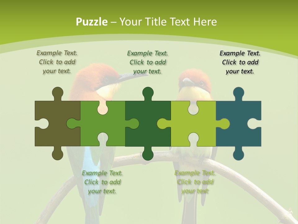 Two Colorful Birds Are Sitting On A Branch PowerPoint Template