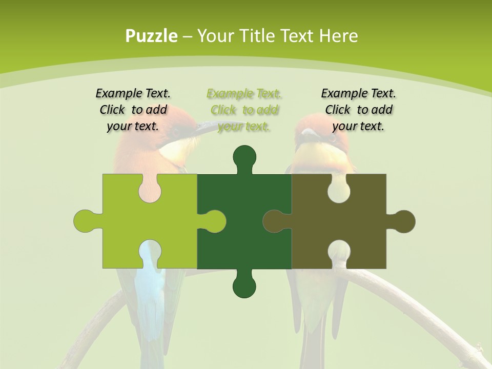 Two Colorful Birds Are Sitting On A Branch PowerPoint Template