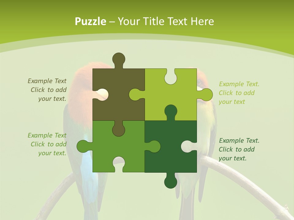 Two Colorful Birds Are Sitting On A Branch PowerPoint Template