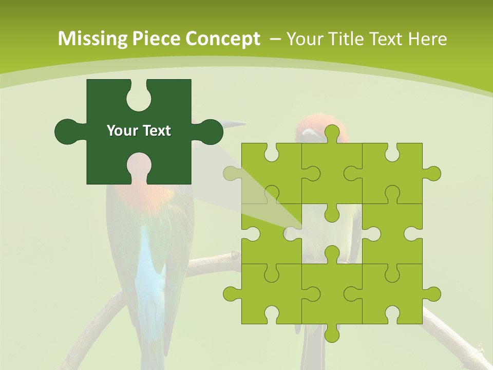 Two Colorful Birds Are Sitting On A Branch PowerPoint Template