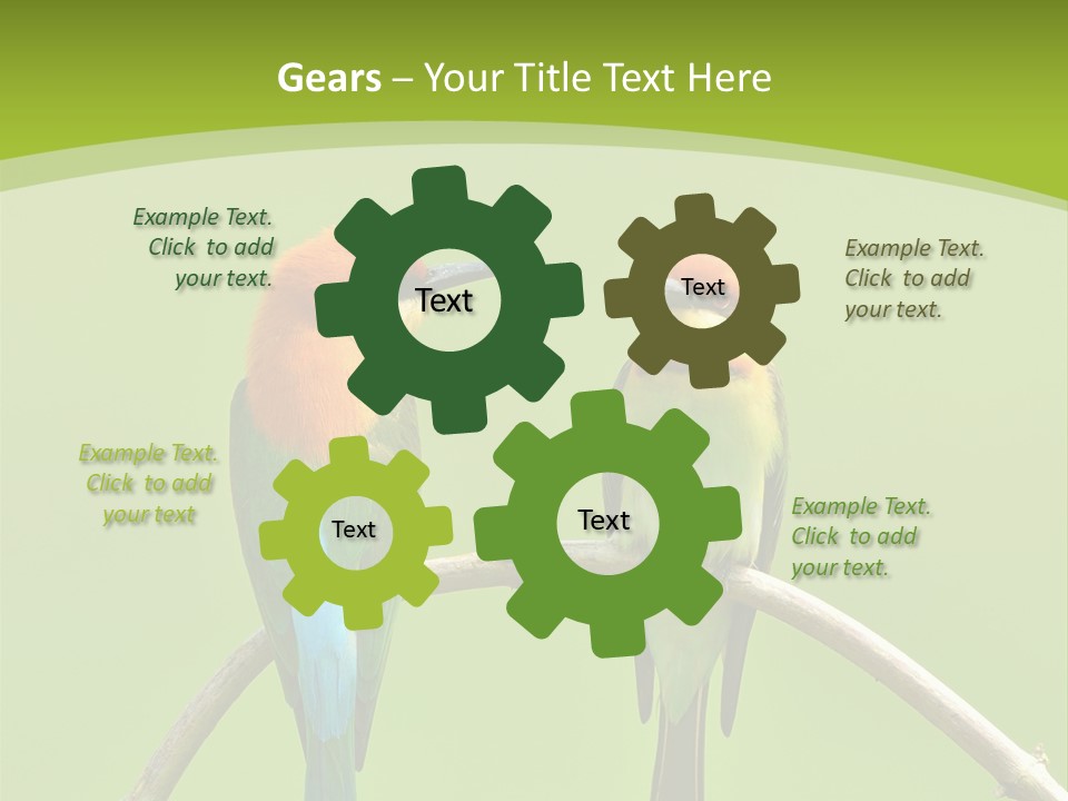 Two Colorful Birds Are Sitting On A Branch PowerPoint Template