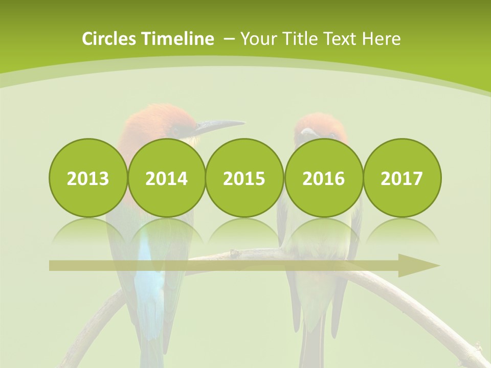 Two Colorful Birds Are Sitting On A Branch PowerPoint Template