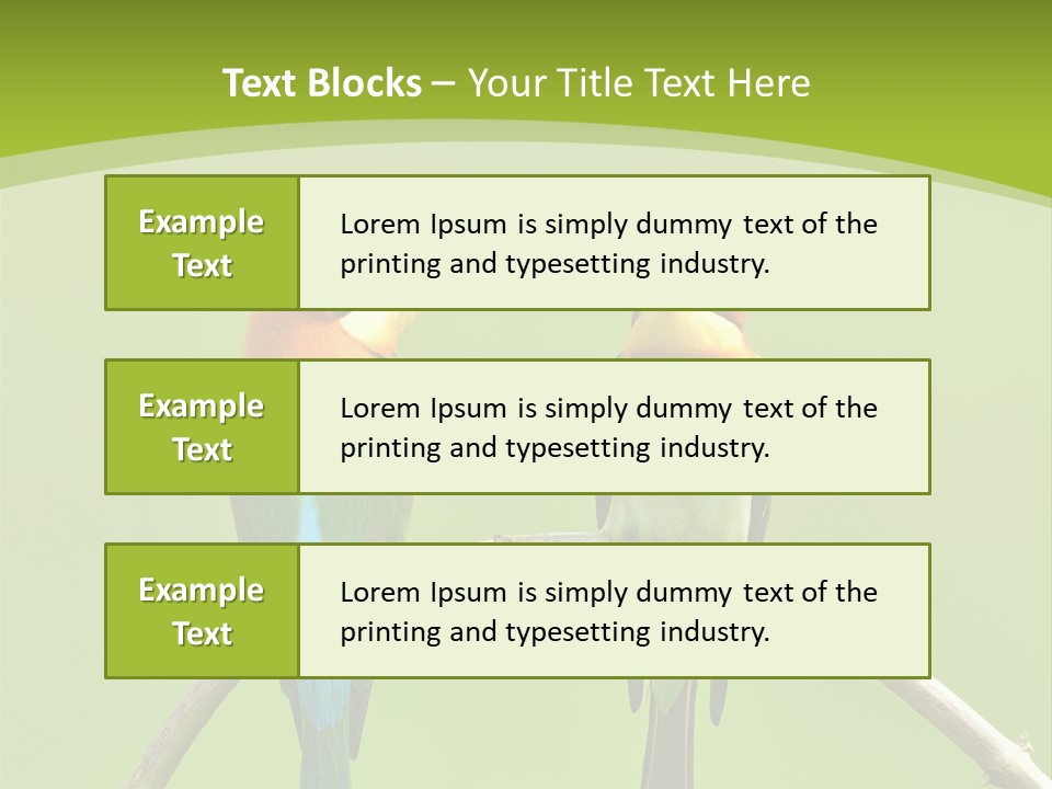 Two Colorful Birds Are Sitting On A Branch PowerPoint Template