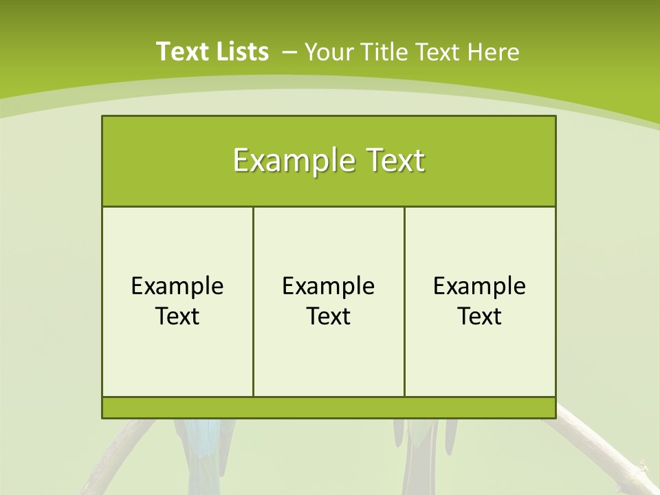 Two Colorful Birds Are Sitting On A Branch PowerPoint Template