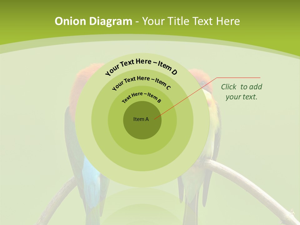 Two Colorful Birds Are Sitting On A Branch PowerPoint Template